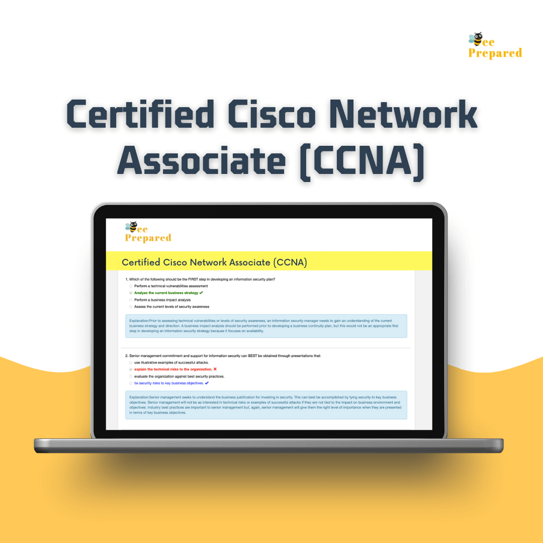 Ccna Qualification Jobs